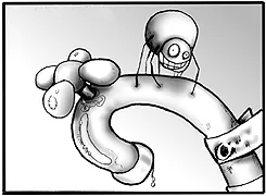 עכביש על ברז