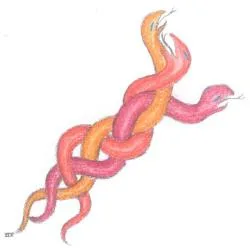 נחשים בצורת דנ"א