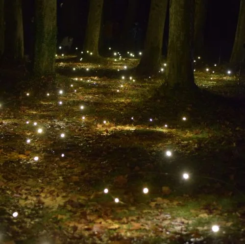 גחליליות כייצוג לפיות