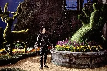 תמונה מהסרט