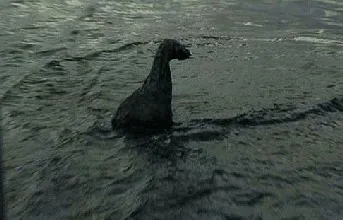 תמונה מהסרט