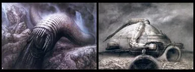 עקלתון - איור מחולית